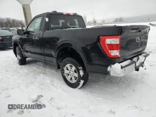 2021 Ford F-150 XL with VIN 1FTMF1EB1MKF07449, listed as a Copart auction lot 37636924 with 43,361 mi miles and . Bid and sale history available at DreamBid. Image 2.