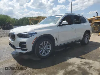 2023 BMW X5 xDrive40i with VIN 5UXCR6C00P9R94784, listed as a Copart auction lot 48871675 with 25,278 mi miles and Salvage title. Bid and sale history available at DreamBid. Image 1.