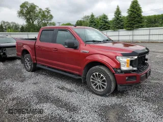 2019 Ford F-150 XL with VIN 1FTEW1E5XKFD24698, listed as a Copart auction lot 60204085 with 145,406 mi miles and Salvage title. Bid and sale history available at DreamBid. Image 4.