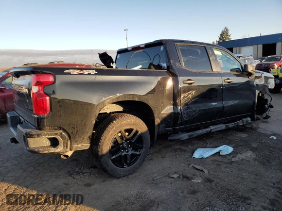 2024 Chevrolet Silverado 1500 Custom with VIN 1GCPDBEK0RZ131799, listed as a Copart auction lot 43352805 with Not Provided miles and Salvage Title. Bid and sale history available at DreamBid. Image 3.