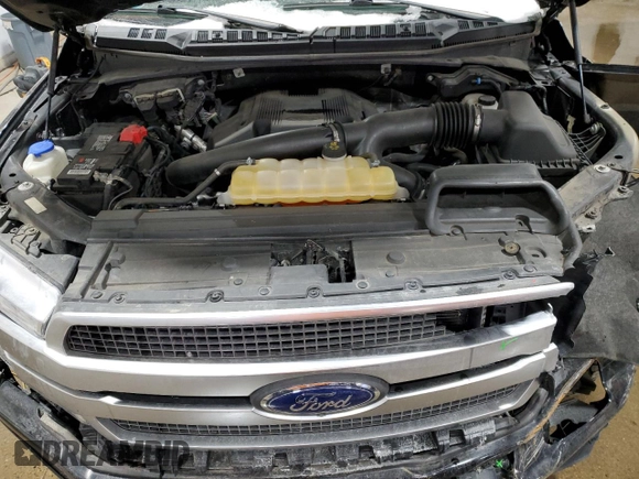 2019 Ford F-150 XL with VIN 1FTEW1E49KFA35982, listed as a Copart auction lot 42703425 with 49,189 mi miles and Salvage Title. Bid and sale history available at carsss.com. Image 11.