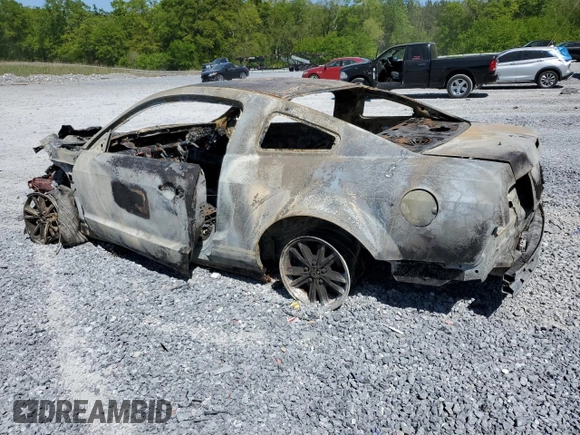 2005 Ford Mustang Deluxe with VIN 1ZVFT80N455159946, listed as a Copart auction lot 54315545 with Not provided miles and Non repairable. Bid and sale history available at DreamBid. Image 2.