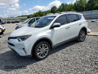 2016 Toyota RAV4 Limited with VIN JTMDJREVXGD049667, listed as a Copart auction lot 59002225 with Not provided miles and Salvage title. Bid and sale history available at DreamBid. Image 1.