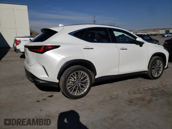 2022 Lexus NX with VIN JTJHKCEZ5N5003392, listed as a Copart auction lot 81854493 with 19,653 mi miles. Bid and sale history available at carsss.com. Image 3.