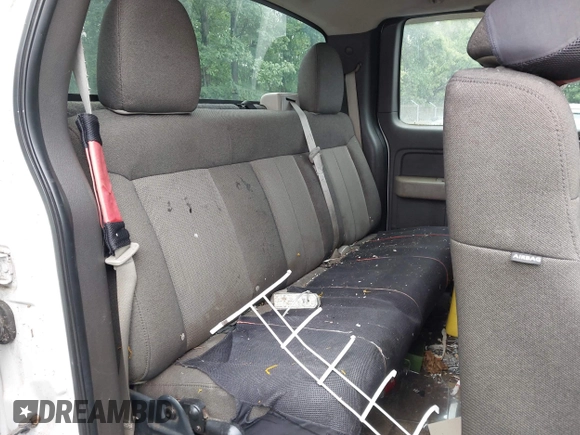 2010 Ford F-150 XL with VIN 1FTEX1E80AFA49736, listed as a IAAI auction lot 42514315 with 153,567 mi miles and . Bid and sale history available at DreamBid. Image 8.