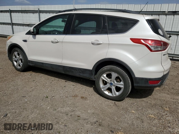 2014 Ford Escape SE with VIN 1FMCU0GX3EUB84639, listed as a Copart auction lot 49834785 with 159,595 mi miles and Salvage Title. Bid and sale history available at DreamBid. Image 2.