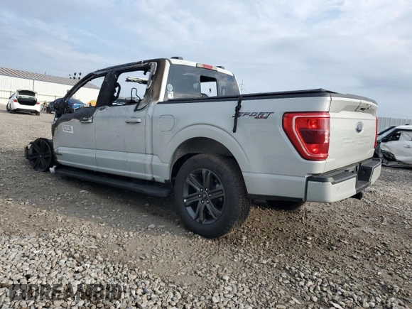 2023 Ford F-150 XL with VIN 1FTFW1ED7PFB40807, listed as a Copart auction lot 62353295 with Not provided miles and Salvage title. Bid and sale history available at DreamBid. Image 2.