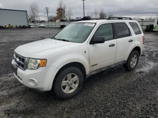 2008 Ford Escape Hybrid with VIN 1FMCU49H78KD32546, listed as a Copart auction lot 49062935 with 282,374 mi miles and Salvage Title. Bid and sale history available at carsss.com. Image 1.