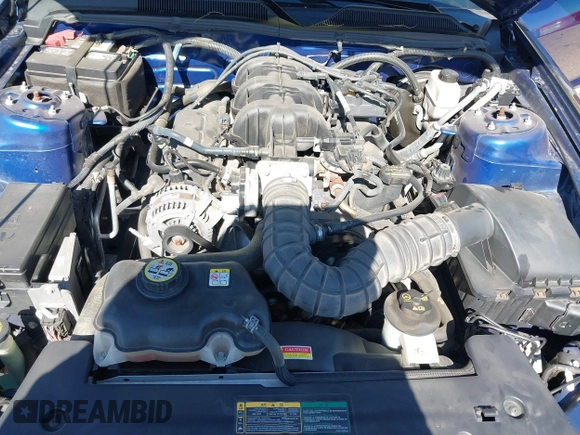 2009 Ford Mustang with VIN 1ZVHT84NX95133912, listed as a IAAI auction lot 42046053 with 57,438 mi miles and . Bid and sale history available at DreamBid. Image 10.