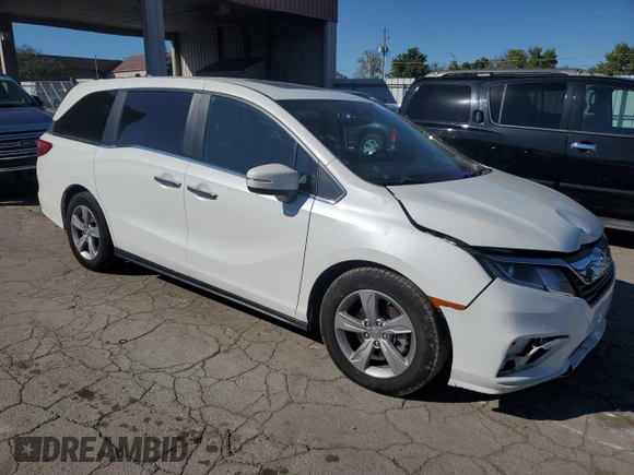2020 Honda Odyssey EX-L with VIN 5FNRL6H76LB060793, listed as a Copart auction lot 74463794 with Not Provided miles and Salvage Title. Bid and sale history available at carsss.com. Image 4.