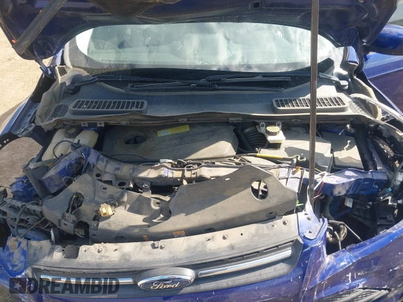 2013 Ford Escape SE with VIN 1FMCU9GXXDUB70983, listed as a IAAI auction lot 42432050 with 97,515 mi miles and . Bid and sale history available at DreamBid. Image 10.