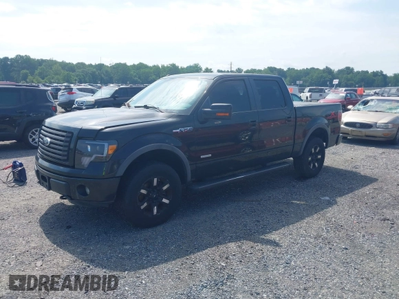 2011 Ford F-150 XLT with VIN 1FTFW1ET7BFB36188, listed as a IAAI auction lot 42669037 with Not provided miles and . Bid and sale history available at DreamBid. Image 17.