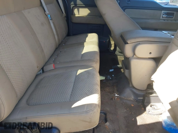 2010 Ford F-150 XL with VIN 1FTEX1E86AFA45349, listed as a IAAI auction lot 41801364 with 263,943 mi miles and . Bid and sale history available at DreamBid. Image 8.