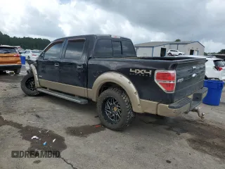 2013 Ford F-150 XL with VIN 1FTFW1ET1DFC76868, listed as a Copart auction lot 60049605 with 132,331 mi miles and Salvage title. Bid and sale history available at DreamBid. Image 2.
