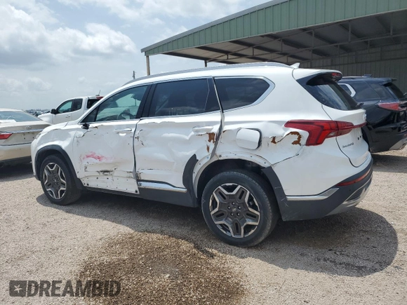 2023 Hyundai Santa Fe Limited with VIN 5NMS4DAL2PH517081, listed as a Copart auction lot 54197505 with 53,584 mi miles and Salvage Title. Bid and sale history available at DreamBid. Image 2.