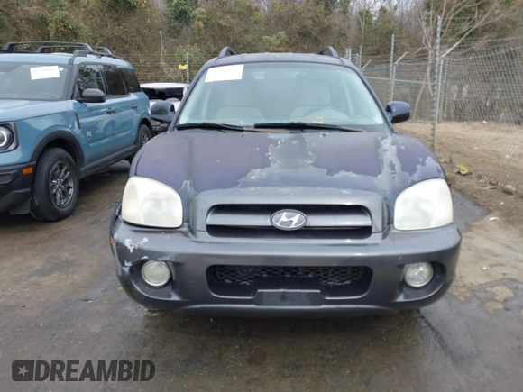 2005 Hyundai Santa Fe GLS with VIN KM8SC73D45U943575, listed as a IAAI auction lot 41676922 with 265,333 mi miles. Bid and sale history available at carsss.com. Image 12.