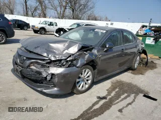 2019 Toyota Camry LE with VIN 4T1B11HK3KU787065, listed as a Copart auction lot 48638235 with 66,818 mi miles and Salvage Title. Bid and sale history available at carsss.com. Image 1.