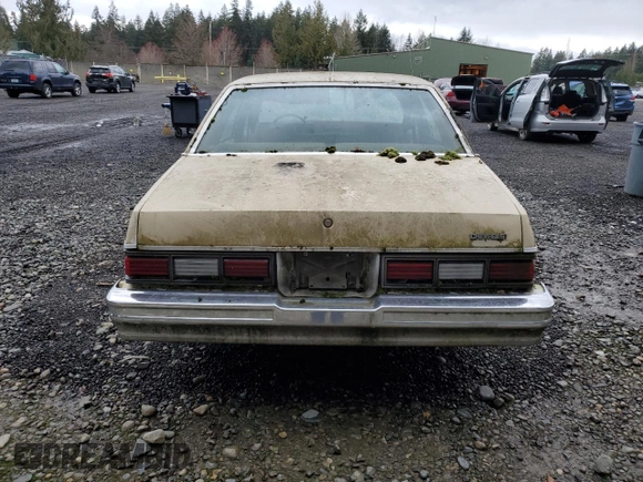 1979 Chevrolet Malibu с VIN 1W19J9K439407, выставлен на аукционе Copart как лот 48776395 с пробегом 47 010 миль миль и Чистый • Clean title. История ставок и продаж доступна на DreamBid. Изображение 6.