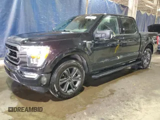 2023 Ford F-150 XL with VIN 1FTEW1C57PFB83938, listed as a Copart auction lot 52502865 with 48,965 mi miles and Non Repairable. Bid and sale history available at carsss.com. Image 1.
