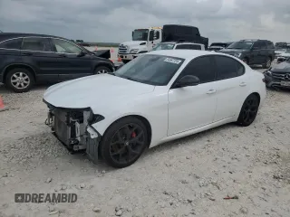 2020 Alfa Romeo Giulia with VIN ZARFAMAN4L7637645, listed as a Copart auction lot 54587725 with 91,754 mi miles and Salvage title. Bid and sale history available at DreamBid. Image 1.