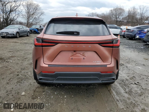 2025 Lexus NX with VIN 2T2GGCEZ6SC071842, listed as a Copart auction lot 47212065 with 4,423 mi miles and Salvage Title. Bid and sale history available at carsss.com. Image 6.