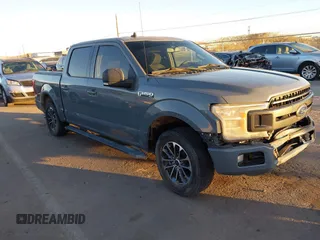 2019 Ford F-150 XL with VIN 1FTEW1CP5KKC67435, listed as a IAAI auction lot 41143282 with 134,419 mi miles and . Bid and sale history available at DreamBid. Image 13.
