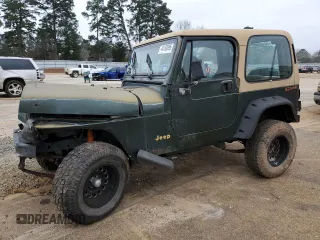 1995 Jeep Wrangler S with VIN 1J4FY19P5SP309461, listed as a Copart auction lot 44160095 with 264,727 mi miles and Salvage Title. Bid and sale history available at carsss.com. Image 1.