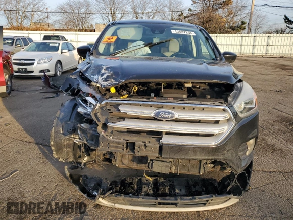 2019 Ford Escape SE with VIN 1FMCU0GD5KUB32527, listed as a Copart auction lot 43687295 with 0 mi miles and Salvage Title. Bid and sale history available at carsss.com. Image 5.