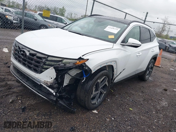 2024 Hyundai Tucson Limited with VIN KM8JECD18RU184602, listed as a IAAI auction lot 42128254 with 21,269 mi miles and . Bid and sale history available at carsss.com. Image 2.