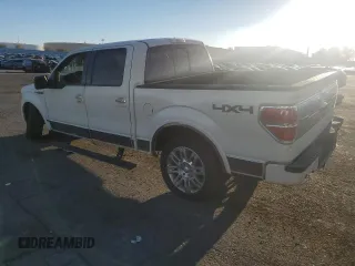 2009 Ford F-150 XL with VIN 1FTPW14V29FA61823, listed as a Copart auction lot 73438054 with 242,529 mi miles and Clean title. Bid and sale history available at DreamBid. Image 2.