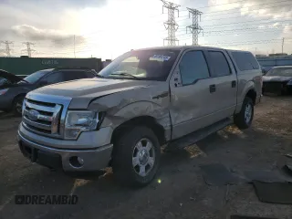 2009 Ford F-150 XL with VIN 1FTRW14819FB12036, listed as a Copart auction lot 89104745 with 174,177 mi miles and Salvage Title. Bid and sale history available at carsss.com. Image 1.