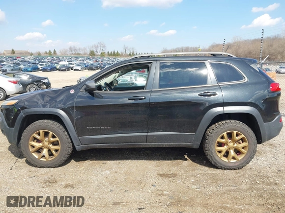2014 Jeep Cherokee Trailhawk with VIN 1C4PJMBS6EW100500, listed as a IAAI auction lot 41894989 with 131,034 mi miles. Bid and sale history available at carsss.com. Image 14.