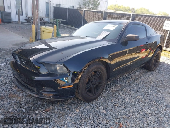 2013 Ford Mustang V6 with VIN 1ZVBP8AM7D5220360, listed as a IAAI auction lot 41994841 with 175,815 mi miles. Bid and sale history available at carsss.com. Image 2.