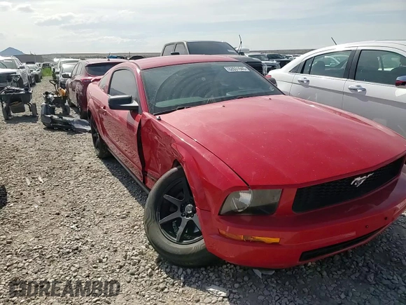 2006 Ford Mustang Standard with VIN 1ZVFT80N865131486, listed as a Copart auction lot 62031945 with Not provided miles and Salvage title. Bid and sale history available at DreamBid. Image 13.