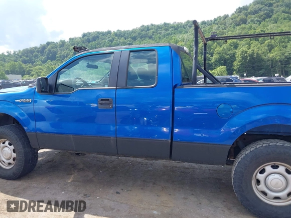 2010 Ford F-150 XL with VIN 1FTEX1E81AFC69211, listed as a IAAI auction lot 42678267 with 174,127 mi miles and . Bid and sale history available at DreamBid. Image 13.