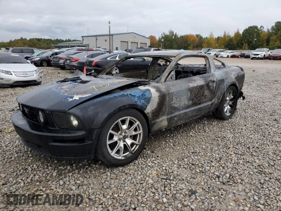 2008 Ford Mustang Deluxe with VIN 1ZVHT80N385125655, listed as a Copart auction lot 78388804 with Not provided miles and Non repairable. Bid and sale history available at DreamBid. Image 1.