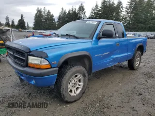 2000 Dodge Dakota Sport with VIN 1B7GG22N4YS715071, listed as a Copart auction lot 43477865 with 226,387 mi miles and Salvage Title. Bid and sale history available at carsss.com. Image 1.