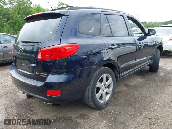 2009 Hyundai Santa Fe SE with VIN 5NMSH73E39H273478, listed as a IAAI auction lot 42216820 with 196,233 mi miles and . Bid and sale history available at DreamBid. Image 4.