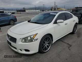 2009 Nissan Maxima SV with VIN 1N4AA51E69C809139, listed as a Copart auction lot 53791545 with 141,482 mi miles and Salvage Title. Bid and sale history available at DreamBid. Image 1.