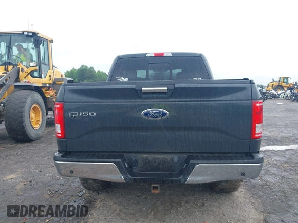 2017 Ford F-150 XL with VIN 1FTEW1EG7HFB79940, listed as a IAAI auction lot 42300635 with 107,269 mi miles and . Bid and sale history available at DreamBid. Image 16.