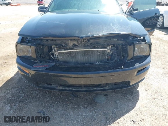 2006 Ford Mustang GT Deluxe with VIN 1ZVHT82H965254102, listed as a IAAI auction lot 41984368 with 185,498 mi miles. Bid and sale history available at carsss.com. Image 6.