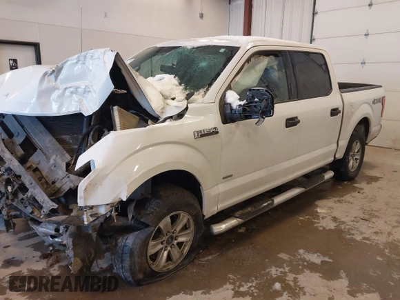 2017 Ford F-150 XL с VIN 1FTEW1EP4HFB68488, выставлен на аукционе IAAI как лот 41305107 с пробегом Не указан миль и . История ставок и продаж доступна на DreamBid. Изображение 16.
