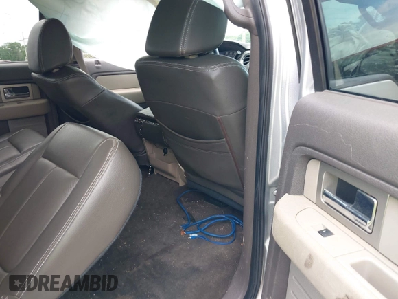 2010 Ford F-150 XL with VIN 1FTEW1C86AFB15213, listed as a IAAI auction lot 42072644 with 234,058 mi miles. Bid and sale history available at carsss.com. Image 8.