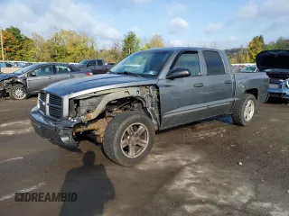 2007 Dodge Dakota SLT with VIN 1D7HW48K17S141548, listed as a Copart auction lot 74875484 with 166,785 mi miles and Salvage Title. Bid and sale history available at carsss.com. Image 1.