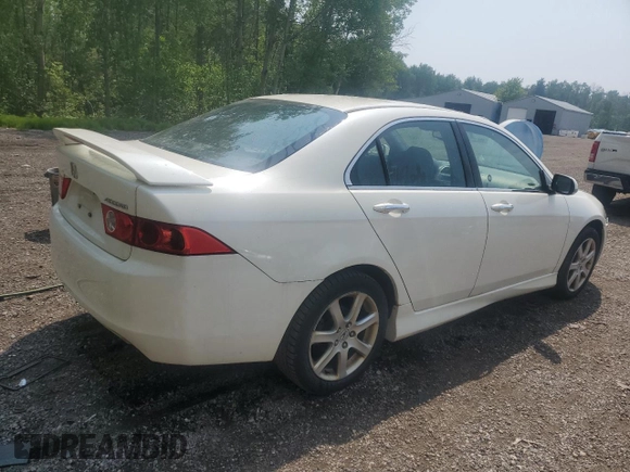 2005 Acura TSX with VIN JH4CL95895C802638, listed as a Copart auction lot 60413315 with 287,173 mi miles and Clean title. Bid and sale history available at DreamBid. Image 3.