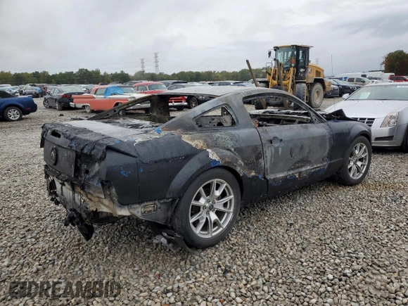 2008 Ford Mustang Deluxe with VIN 1ZVHT80N385125655, listed as a Copart auction lot 78388804 with Not provided miles and Non repairable. Bid and sale history available at DreamBid. Image 3.