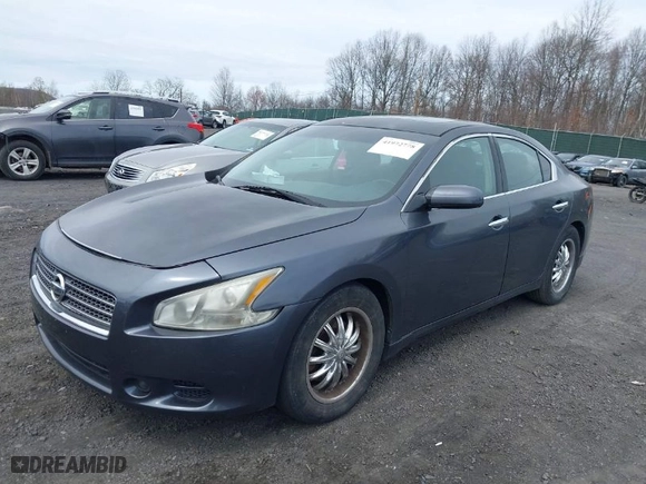 2009 Nissan Maxima 3.5 SV w/Sport Pkg with VIN 1N4AA51E19C853520, listed as a IAAI auction lot 41972778 with 172,981 mi miles. Bid and sale history available at carsss.com. Image 2.