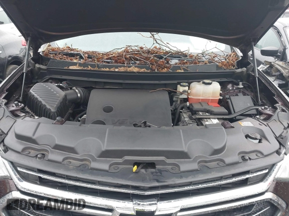 2019 Chevrolet Traverse LT z VIN 1GNERHKW8KJ117969, wystawiony jako IAAI lot #41619931 z przebiegiem 64 767 mil mil oraz . Historia ofert i sprzedaży dostępna na DreamBid. Obrazek 10.