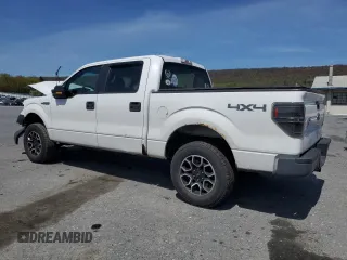 2010 Ford F-150 XL with VIN 1FTFW1EV6AKE26946, listed as a Copart auction lot 53942875 with 217,777 mi miles and Salvage Title. Bid and sale history available at carsss.com. Image 2.