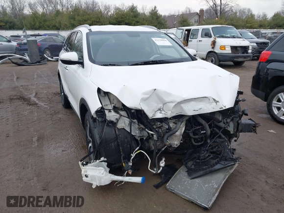 2017 Kia Sorento EX V6 with VIN 5XYPH4A57HG203255, listed as a IAAI auction lot 41178904 with 122,091 mi miles. Bid and sale history available at carsss.com. Image 1.